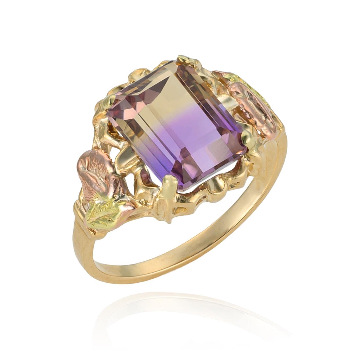 Black Hills Ametrine Ring in 14K Gold
